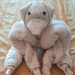 Profile picture of Allan Well