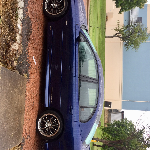 Profile picture of Katherine Johnston