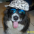 Profile picture of Paul Johnson