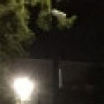 Profile picture of Steve Schultze