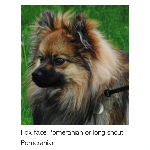 Profile picture of Mark Brandreth