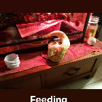 Profile picture of Michael Triffitt