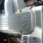 Profile picture of Addison Holmes