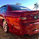 Profile picture of Paul Bortolotto