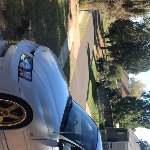 Profile picture of Robert Pollard