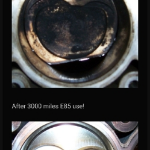 Profile picture of Robert Lattanzio