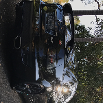 Profile picture of Shayne Sheldrick