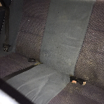 Profile picture of Reece Morvo